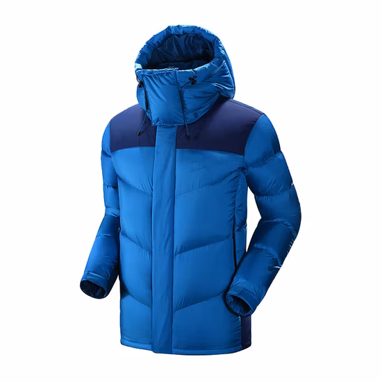 Vêtements d'hiver en coton pour femmes à la mode Outwear Hooded Strong Sens of Design Coat Down Jacket